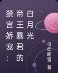 禁宮嬌寵：帝王暴君的白月光 封面