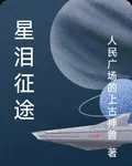 星淚征途 封面