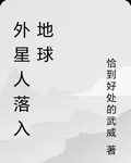 外星人落入地球 封面
