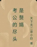 考公的盡頭是贅婿 封面
