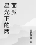 星光下的兩面派 封面