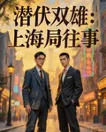 潛伏雙雄：上海局往事 封面