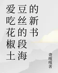 愛喫花椒土豆絲的段海的新書 封面
