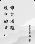 鏡中回聲：誰能清醒 封面