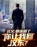 名義：都進部了，你讓我回漢東？ 封面