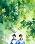 風把祕密吹向了你 封面