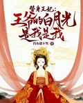 替身王妃：王爺的白月光是我是我 封面