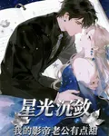 星光沉斂：我的影帝老公有點甜 封面