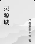 靈源城 封面