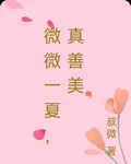 微微一夏，真善美 封面