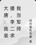 大唐：我裝傻，李二求我當軍師 封面