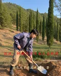 抗戰：種樹只用日本人當肥料 封面