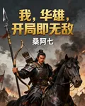 我，華雄，開局即無敵 封面