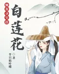 白蓮花她有尋寶掛 封面