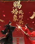 賜婚對象是死對頭 封面
