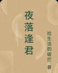 夜落逢君 封面