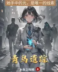 青鳥遺蹤 封面