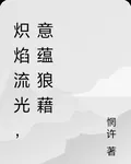 熾焰流光，意蘊狼藉 封面