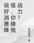 說好消費降級，你降我戰力？ 封面