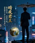 暗夜君王，他的身份，你查不起 封面