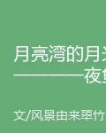 月亮灣的月光一一一一夜魚龍舞 封面
