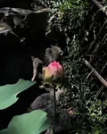 我有一個隨便系統 封面