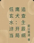 低玄水滸當鷹犬：開局追查生辰綱 封面