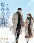 你在雪落時亦在融雪間 封面