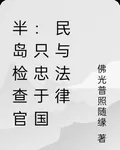 半島檢查官：只忠於國民與法律 封面