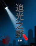 追光之野 封面