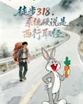 徒步318，系統硬說是西行取經 封面