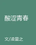 酸澀青春 封面