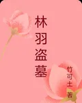 林羽盜墓 封面