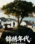 錦繡年代從田埂走向星辰 封面