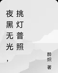 夜黑無光，挑燈普照 封面