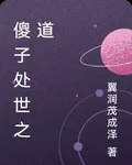 傻子處世之道 封面