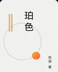 珀色 封面