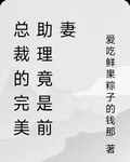總裁的完美助理竟是前妻 封面
