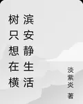 樹只想在橫濱安靜生活 封面