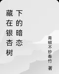 藏在銀杏樹下的暗戀 封面