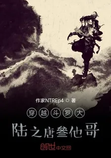 穿越斗羅大陸之主角他哥 封面