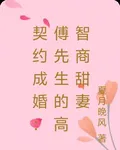 契約成婚：傅先生的高智商甜妻 封面
