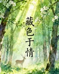 藏情於色 封面