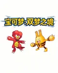 寶可夢：雙夢之境 封面