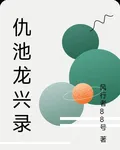仇池龍興錄 封面