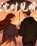 沈時見晚 封面