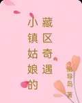 小鎮姑娘的藏區奇緣 封面
