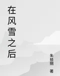 在風雪之後 封面