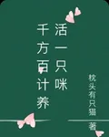 千方百計養活一隻咪 封面