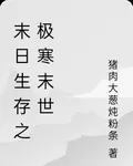 末日生存之極寒末世 封面
